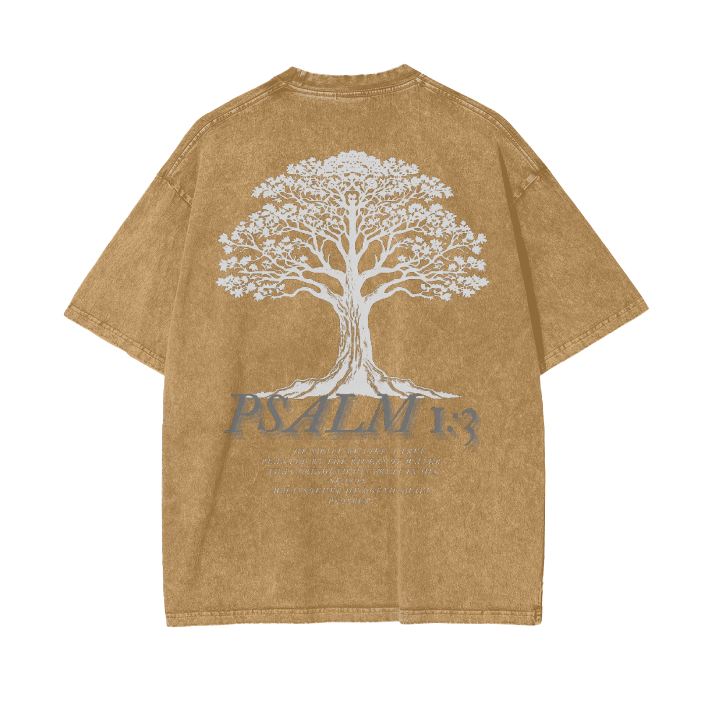 Psalm 1:3 Acid Wash Oversize T-Shirt