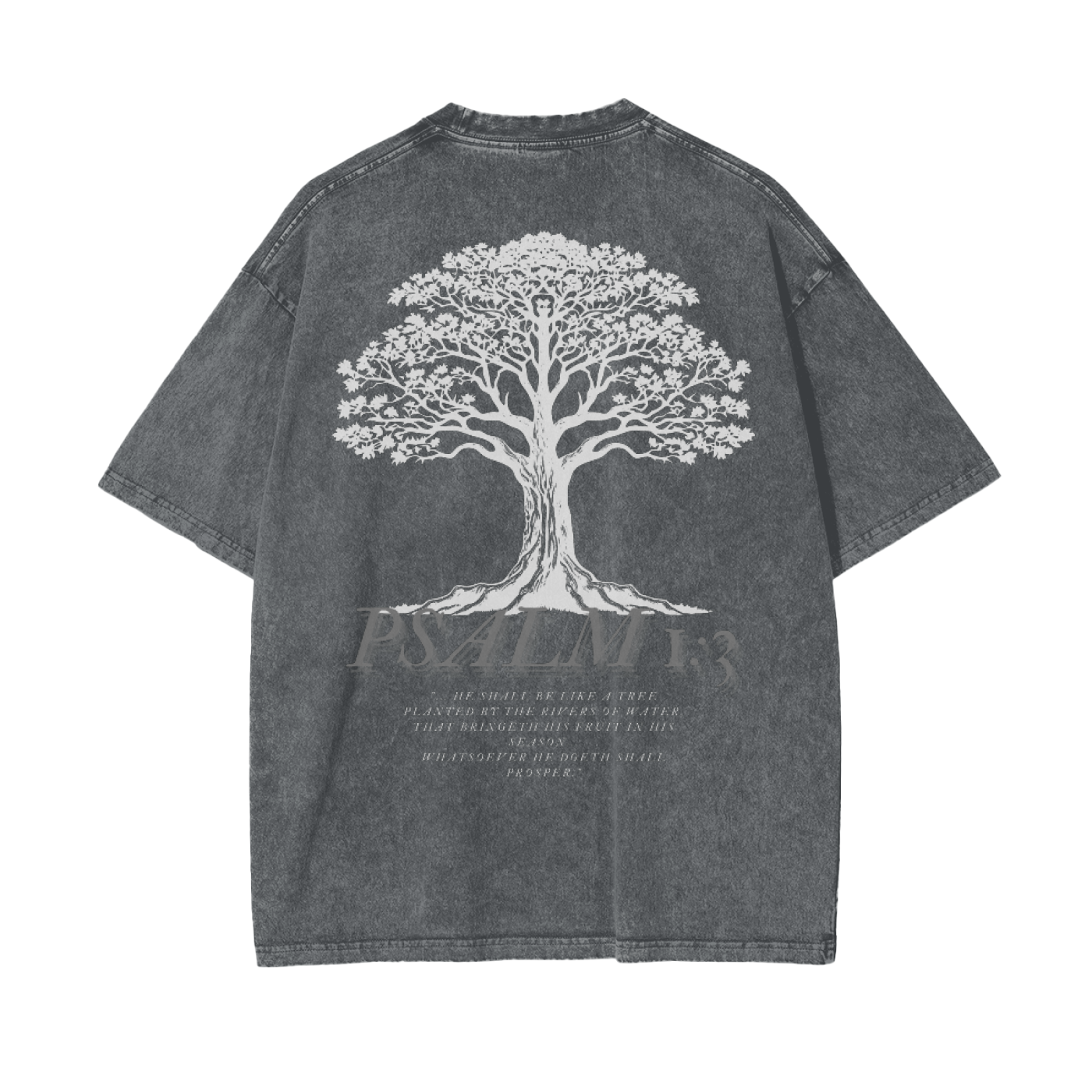 Psalm 1:3 Acid Wash Oversize T-Shirt