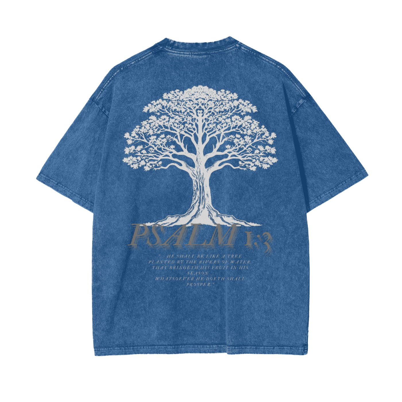 Psalm 1:3 Acid Wash Oversize T-Shirt